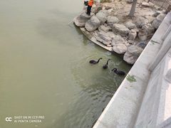 -天津东丽湖风景区