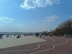 -丁香湖公园