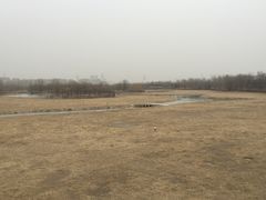-北京麋鹿生态实验中心