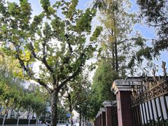 -星巴克(3号湾店)