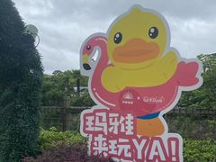-上海玛雅海滩水公园