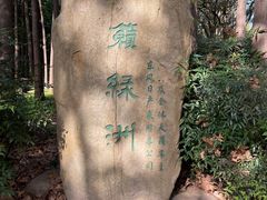 -上海共青森林公园