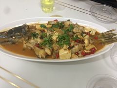 -煲来饱去冷水鱼