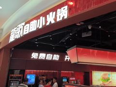 -龍歌自助小火锅(雨花台江南虹悦城店)
