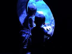 -成都浩海立方海洋公园