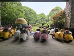 -太湖饭店玉兰厅(自助餐厅)