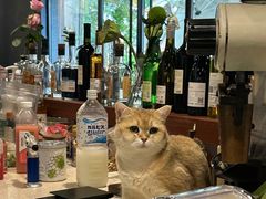 -咖法森林·咖啡  酒吧(天河店)