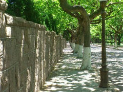 android_upload_pic-八大关景区