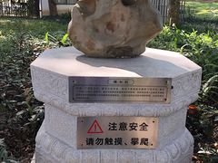 -东莞植物园