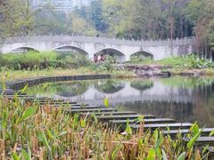 -重庆彩云湖湿地公园
