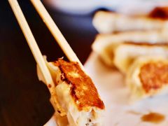煎饺子-拉面莊夢語＆中华料理八椿