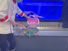 -万宝海鲜舫(劳动公园店)