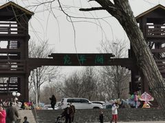 -绿堤公园