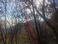 -妙峰山风景名胜区
