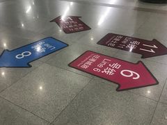 -东方体育中心(地铁站)