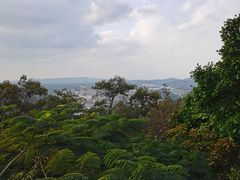 -高榜山景区