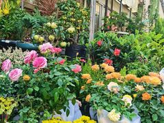 -金陵花卉交易市场