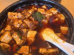 -陈麻婆豆腐总店