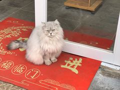 -长兴菜馆(高桥店)