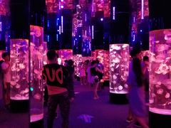 -成都浩海立方海洋公园