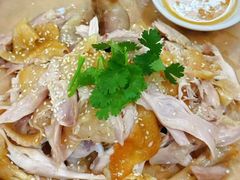 -琼海温泉鹅农家饭店
