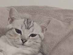 -康乐宝动物医院