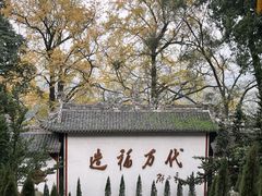 -都江堰景区