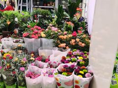 -三旗百汇商品城