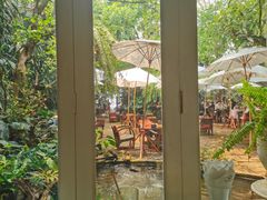 -Fern Forest Cafe