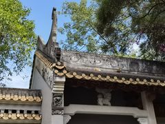 -顺峰山公园