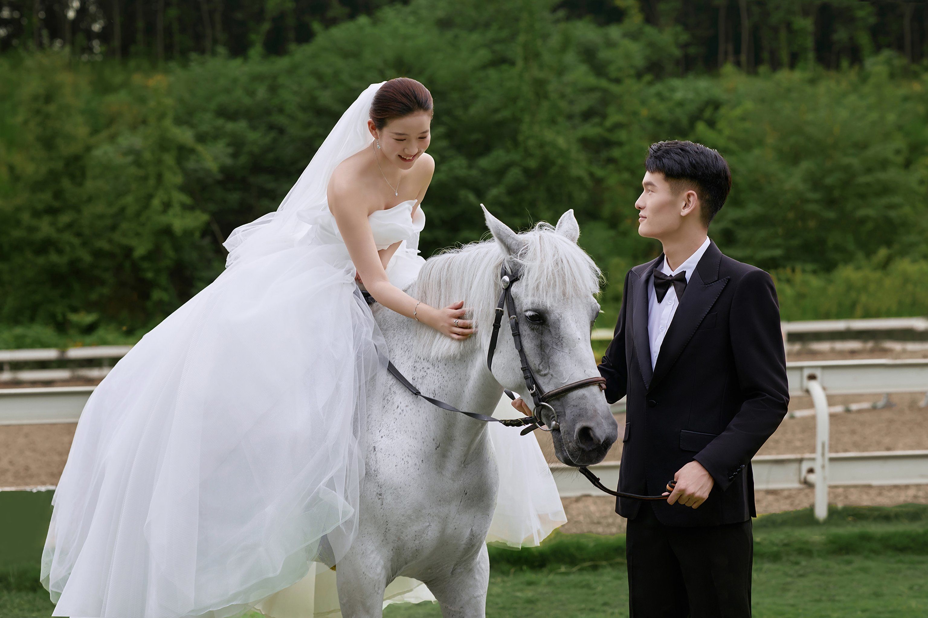 小众高级感森系马场婚纱照91成片绝美||–