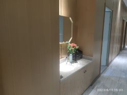 -苑苑vbeauty科技美容SPA