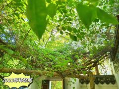 -深圳国际园林花卉博览园