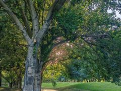 -长白岛森林公园