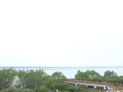 -宝安西湾红树林湿地公园