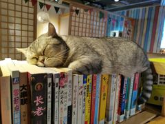 -小时光咖啡馆(开森度假森林店)