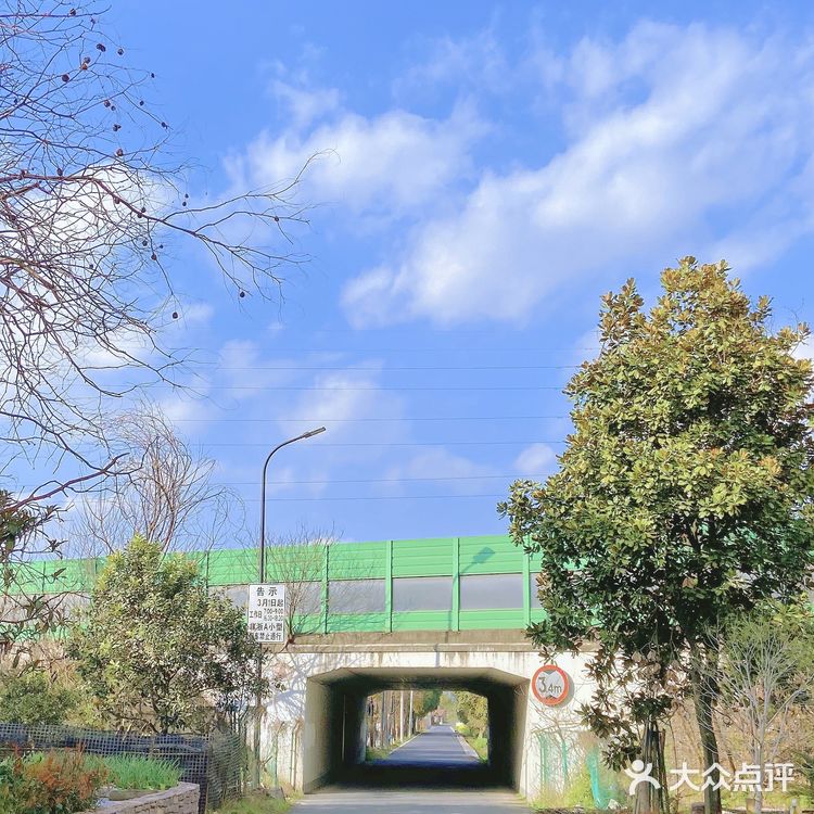 杭州“小镰仓”日系小众拍照地🚢感受2元坐船的快乐