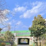 杭州“小镰仓”日系小众拍照地🚢感受2元坐船的快乐