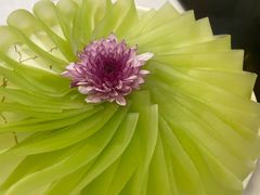 -十二春顶级锅物(泉亮花园店)