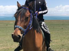 -青海湖国家重点风景名胜区