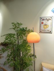 -变美丽半永久纹眉连锁·机器野生眉•洗眉