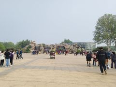 -石家庄市植物园
