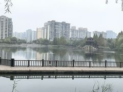 -洋湖国家湿地公园