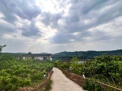 -观清澜疗愈民宿(龙泉山风景区店)