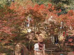 -广州市帽峰山景区