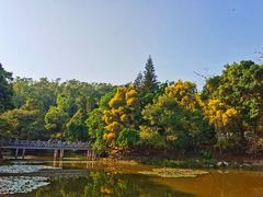 -深圳国际园林花卉博览园