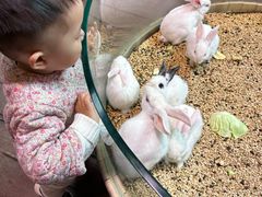 -正佳雨林生态植物园
