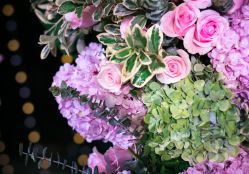 -昆泰酒店·会议咨询