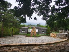 -阳台山自然风景区