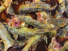 -金海椒罐罐鲢鱼(东方桂苑店)